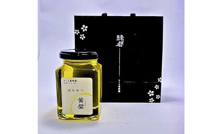 みどりシリーズ はちみつ「黄檗(きはだ)」 国産 240g 単花はちみつ 純粋 蜂蜜 ハチミツ 単花蜜 国産はちみつ