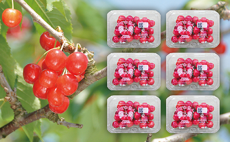 ����s�\�� ���܂��� �������� �G�i L 1.08kg 180g×6�p�b�N  �y6�����{�������z�R�`�� �������Y �_�Y�� �t���[�c �R�`�Y �o���l�� �T�N�����{ ���� �ʕ� ����