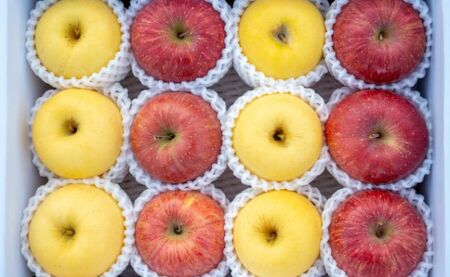 ��� �T���ӂ� �� �͂邩 �l���� �G 3kg 10�`12�� �y2026�N1�������z �_�ƒ��� �R�`�� �������Y �R�`���Y ���Y �ʕ� �t���[�c �����S �ь� �Y�n���� �~