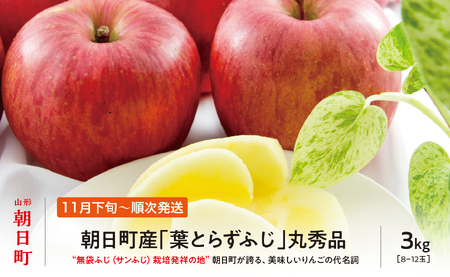[ 先行予約 ] りんご 葉取らず ふじ 丸秀品 約 3kg 8〜12玉 [2026年11月下旬から12月下旬発送] 山形県 朝日町産 山形県産 果物 フルーツ リンゴ 林檎 秋 冬