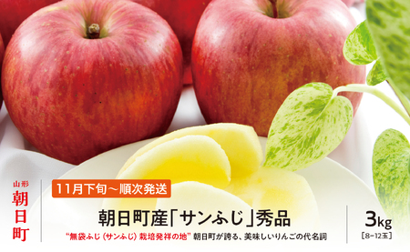 [ 先行予約 ] サンふじ りんご 秀品 約 3kg 8〜12玉 [2026年11月下旬から12月下旬発送] 山形県 朝日町産 山形県産 果物 フルーツ リンゴ 林檎 秋 冬