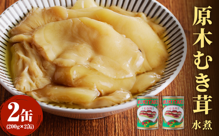 大江町柳川産 原木むき茸水煮200g×2缶(固形量) 014-015