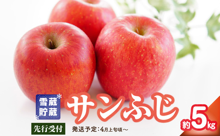 [先行受付]家庭用 雪蔵貯蔵 サンふじ 約5kg[2026年4月上旬頃〜発送予定 冷蔵お届け][大江町産・山形りんご・りんご専科 清野] 015-051