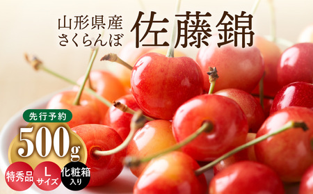 ≪先行予約≫さくらんぼ 佐藤錦 500g 特秀品 Lサイズ 化粧箱入[2024年6月中旬頃〜発送予定][山形県産さくらんぼ]さくらんぼ サクランボ 001-071