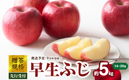 [先行受付]贈答規格 早生ふじ約5kg(特秀〜秀14〜20玉)[2025年9月中旬頃〜発送予定][大江町産・山形りんご・りんご専科 清野] 015-054