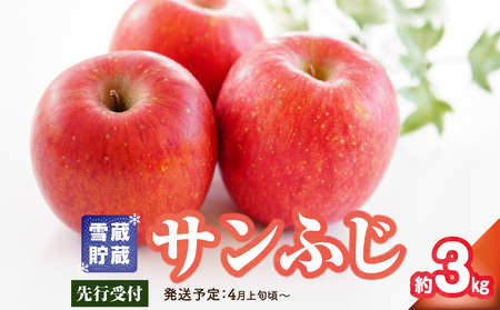 [先行受付]贈答規格 雪蔵貯蔵 サンふじ 約3kg[2026年4月上旬頃〜発送予定][大江町産・山形りんご・りんご専科 清野] 015-067