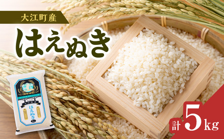 [令和6年度産米]新米 大江町産 はえぬき 5kg[山形県産][2024年度産米] 001-097