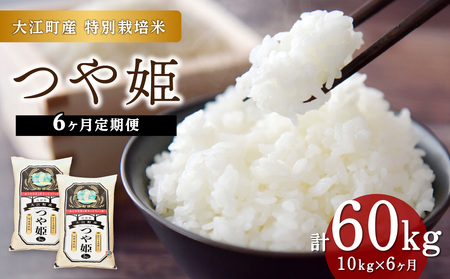 《6ヶ月定期便》大江町産 つや姫 10kg(5kg×2袋)×6ヶ月(計60kg)【山形県産 特別栽培米】 001-T20