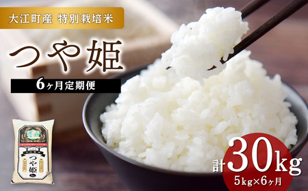 yVāzs6ցt]Y P 5kg×6(v30kg)yR`Y ʍ͔|āzy2025NxYāz 001-T30