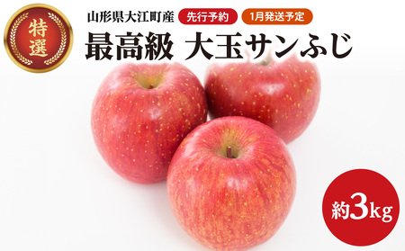 [先行予約][1月発送予定] 最高級 特選大玉サンふじ約3kg [大江町産・山形りんご・大地農産] 028-027