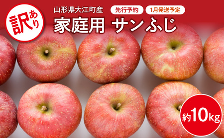 《先行予約》【1月発送予定】 訳あり 家庭用サンふじ約10kg　【大江町産・山形りんご・大地農産】 028-028