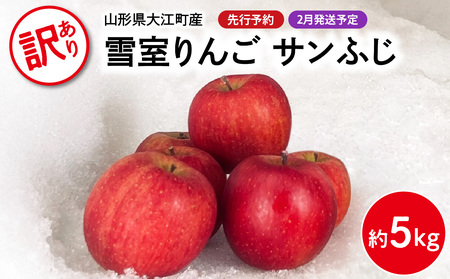 《先行予約》【2月発送予定】 訳あり 雪室りんごサンふじ 約5kg【大江町産・山形りんご・大地農産】 028-029