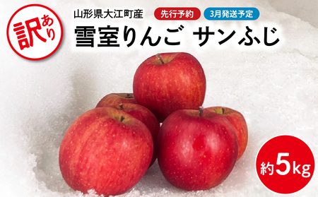 《先行予約》【3月発送予定】 訳あり 雪室りんごサンふじ 約5kg【大江町産・山形りんご・大地農産】028-033