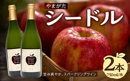 やまがたシードル750ml×2本 061-002