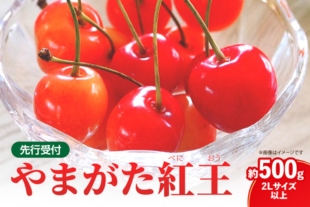 [先行受付]さくらんぼ 山形紅王(やまがたべにおう)約500g (2Lサイズ以上) [2026年6月中旬〜順次発送予定] 022-012