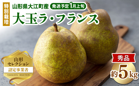 ≪先行受付≫ 特別栽培 大玉 ラフランス 約5kg 秀品4L～3L 【2027年1月より順次発送予定】 025-023