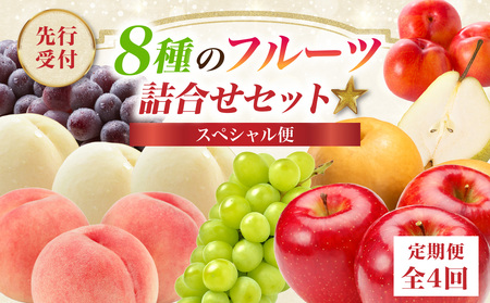 ≪先行受付≫8種のフルーツ詰合せセット★スペシャル便[定期便全4回]