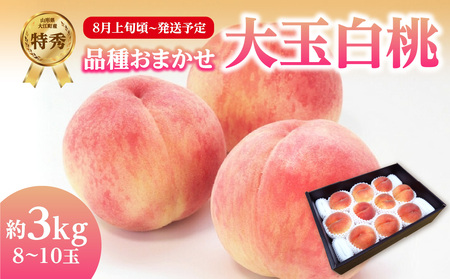 [先行受付]品種おまかせ 大玉白桃 約3kg[特秀] (8〜10玉)[2025年8月上旬頃〜発送予定] 001-100