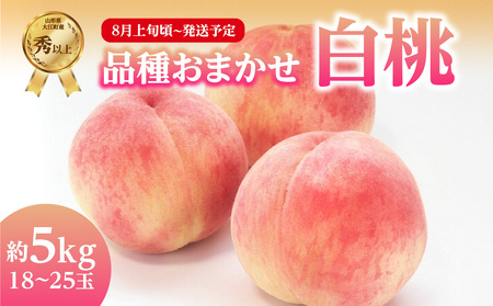 [先行受付]品種おまかせ 白桃 約5kg[秀以上] (18〜25玉)[2025年8月上旬頃~発送予定] 001-101