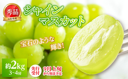 [先行受付]★シャインマスカット★ 約2kg(3〜4房)秀品[2025年9月上旬頃〜発送予定] 063-004