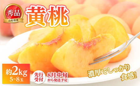 [先行受付]★黄桃(品種おまかせ)★ 約2kg(5〜8玉) 秀品 [2025年8月中旬頃〜発送予定] 063-003