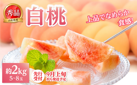 [先行受付]★白桃(品種おまかせ)★ 約2kg(5〜8玉) 秀品 [2025年9月上旬頃〜発送予定] 063-002