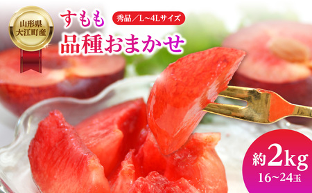山形県大江町産 品種おまかせ すもも 004-012