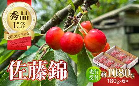 y2026Nxstzڍс1080g Gi y6菇\z 063-010