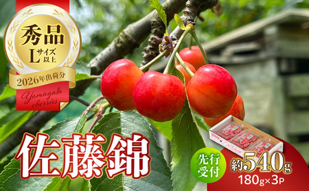 y2026Nxstzڍс540g Gi y6菇\z 063-012
