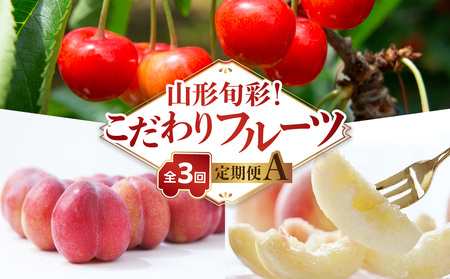 �s��s��t�t�y�������Œ�z�R�`�{�ʁI�������t���[�c����֑S�R��` 063-T01