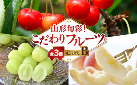 �y�������Œ�z�R�`�{�ʁI�������t���[�c����֑S�R��a 063-T02