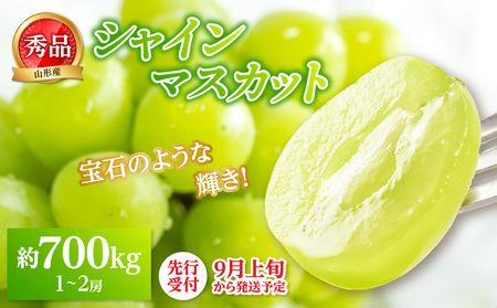 �s��s��t�t���R�`�Y�V���C���}�X�J�b�g����700g�ȏ�(1�`2�[)�G�i�y2026�N9�����`���������\��z 063-014