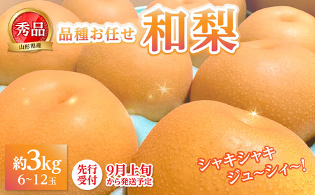 [先行受付]★山形産和梨(品種お任せ)★約3kg(6〜12玉程度)秀品[2026年9月頃〜順次発送予定] 063-015