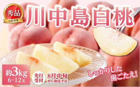 [先行受付]★山形産白桃『川中島白桃』★約3kg(6〜12玉程度)秀品[2026年8月中旬頃〜順次発送予定] 063-017