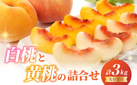 《先行受付》白桃と黄桃詰合せ3kg【2026年8月頃より順次発送予定】 060-016