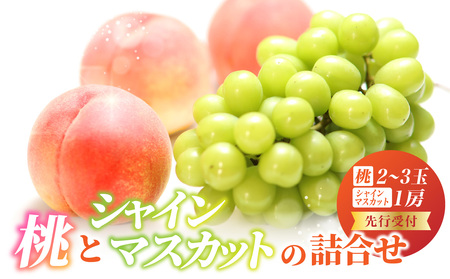 [先行受付]桃とシャインマスカットの詰合せ[2026年9月頃より順次発送予定] 060-017