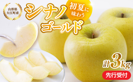 [先行受付]大江町産 りんご シナノゴールド約3kg [2026年5月上旬頃〜順次発送予定] 028-037