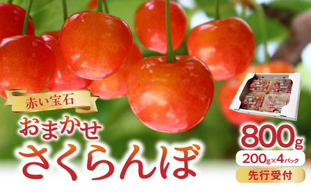 [先行受付]「赤い宝石」おまかせさくらんぼ 200g×4P[2026年6月頃より順次発送予定] 060-022