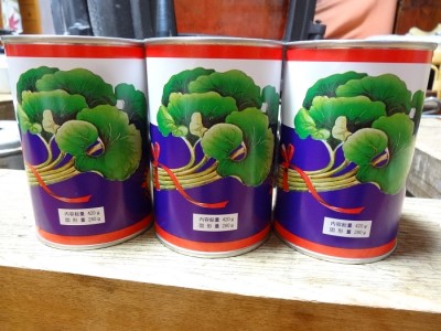 大江町柳川産 天然ふき水煮280g×3缶(固形量)