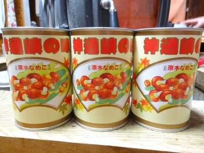 大江町柳川産 原木なめこ水煮200g×3缶(固形量)