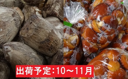 10〜11月 土里芋1.5kg原木なめこ1kg　【山形県産さといも・きのこ・10月・11月】