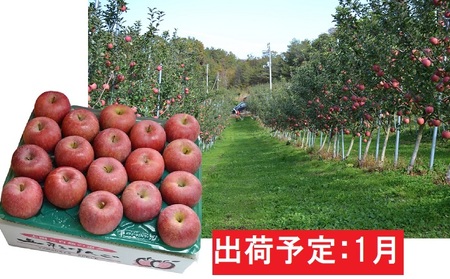 1月 サンふじ約5kg・秀品【大江町産・山形りんご・大地農産】
