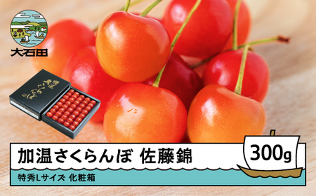 先行予約 加温 さくらんぼ 佐藤錦 特秀Lサイズ 300g プレゼント ギフト 化粧箱入 2026年産 令和8年産 山形県産 ns-sntlx300