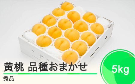 先行予約 もも 有袋黄桃 秀品 品種おまかせ 約5kg 化粧箱入りフルーツ 果物 2025年産 令和7年産 山形県産 ns-mootx5