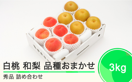 もも 白桃 秀品&和梨 品種おまかせ 約3kg 詰め合わせ なしフルーツ 果物 2024年産 山形県産 送料無料 ns-fshnx3