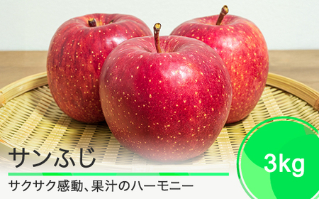  Tӂ 3kg 2025NY ߘa7NY S ь ʕ t[c ʎ ja-risfx3 Eւ̔zs