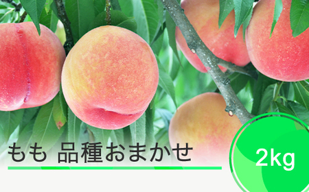 桃 品種おまかせ 2kg 2025年産 令和7年産 もも モモ 果物 フルーツ 果樹 ※沖縄・離島への配送不可