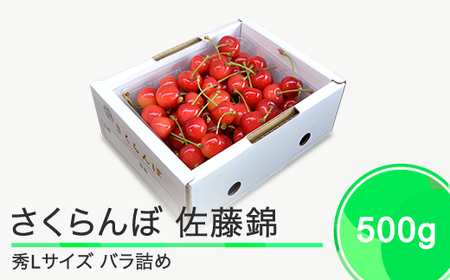 さくらんぼ 佐藤錦 秀L 500g 2026年産 令和8年産 山形県産 ふるさと納税 果物 くだもの フルーツ 期間限定 冷蔵配送 先行受付 グルメ 取り寄せ ご当地 特産 産地 直送 送料無料 東北 山形県 人気 ry-snslb500