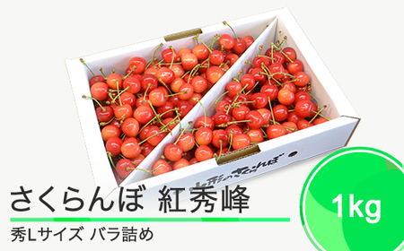 さくらんぼ 紅秀峰 秀L 1000g（バラ詰め1kg）2026年産 令和8年産 山形県産 ふるさと納税 果物 くだもの フルーツ 期間限定 冷蔵配送 先行受付 グルメ 取り寄せ ご当地 特産 産地 直送 送料無料 東北 山形県 人気 ry-bsslb1000
