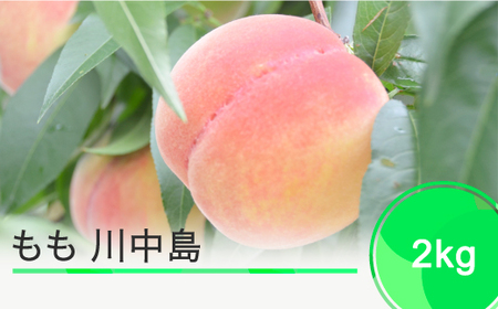 ys\z  쒆 2kg 2026NY ߘa8NY ʕ t[c ʎ ja-moknx2 Eւ̔zs